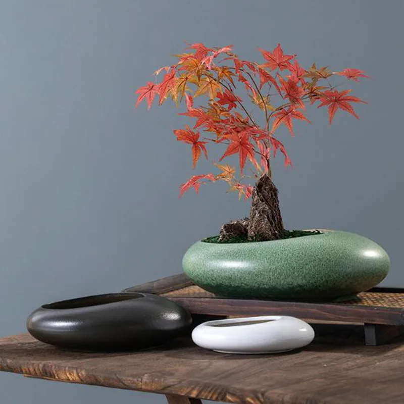 Bonsai Garden Art - Kaba Seramik Bonsai Vazosu, Yeşil Bitki