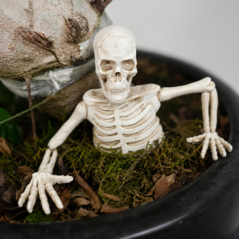 Yarım Vücut İskeletten Çıkıyor - Bonsai Garden Landscape Design incelemesi ve fiyatı